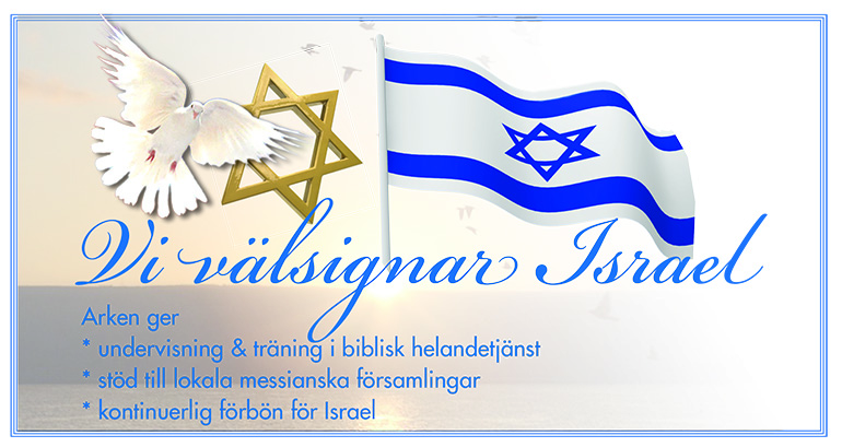 Israel banner 2017