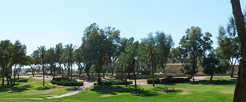 Park i Israel webb Park Israel