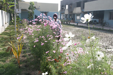 Blommande trädgård Kolkata