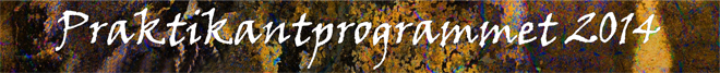 Praktikantprogrammet 2014 lång banner