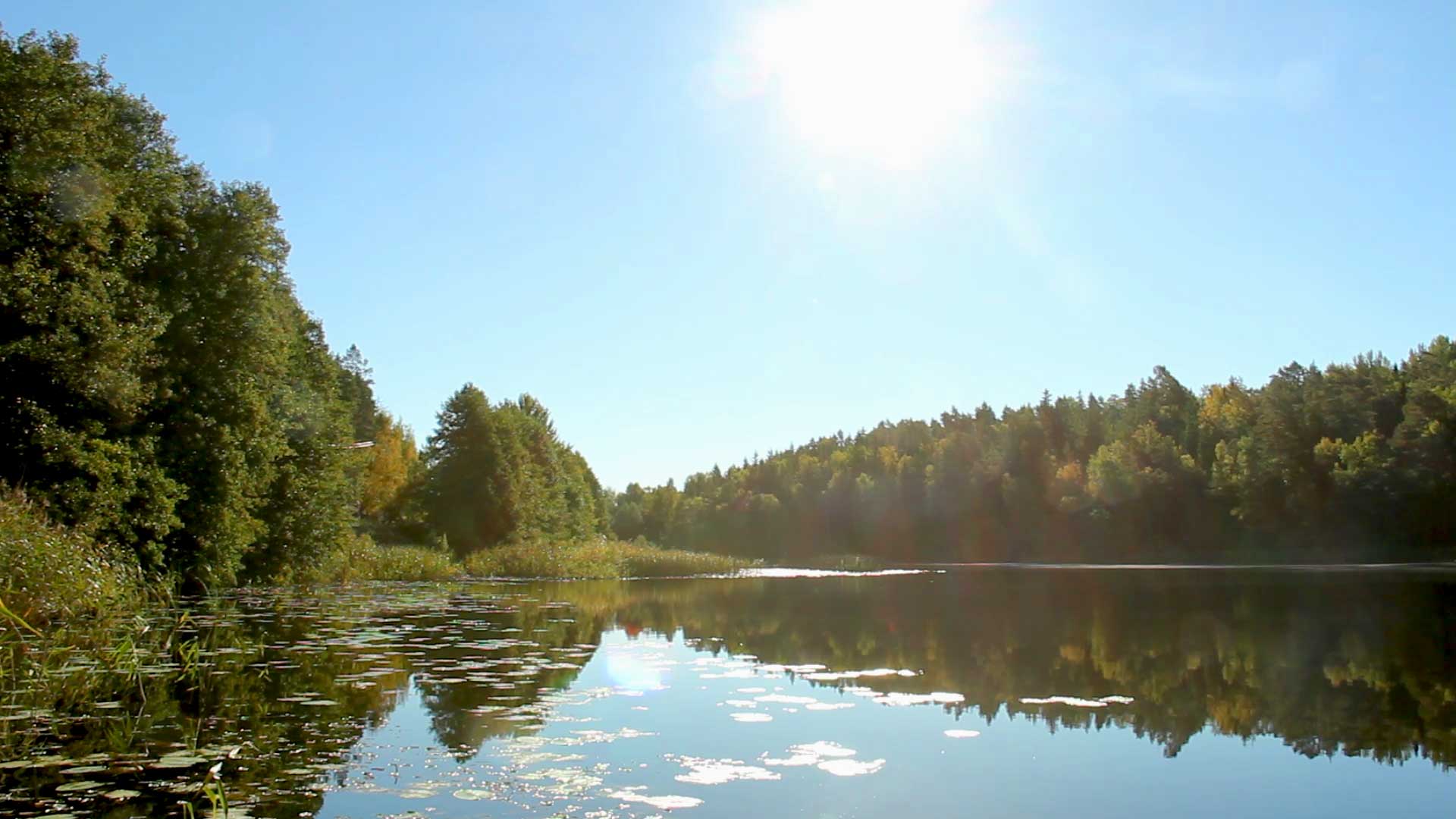 Sjöhamra